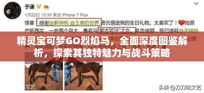 精靈寶可夢GO烈焰馬，全面深度圖鑒解析，探索其獨特魅力與戰(zhàn)斗策略