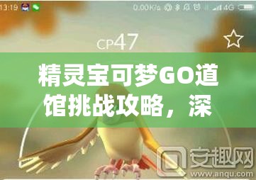 精靈寶可夢GO道館挑戰(zhàn)攻略，深入解析道館系統(tǒng)玩法及其對資源管理的關(guān)鍵作用