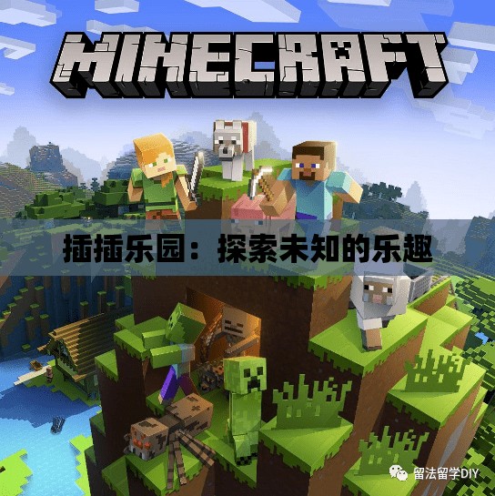 插插樂園：探索未知的樂趣