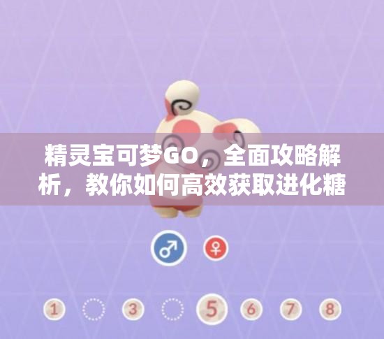 精靈寶可夢GO，全面攻略解析，教你如何高效獲取進化糖果