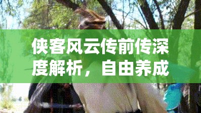 俠客風云傳前傳深度解析，自由養(yǎng)成系統(tǒng)資源管理、高效技巧與價值最大化策略