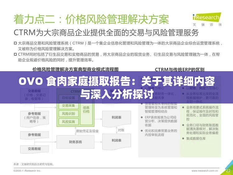 OVO 食肉家庭攝取報(bào)告：關(guān)于其詳細(xì)內(nèi)容與深入分析探討