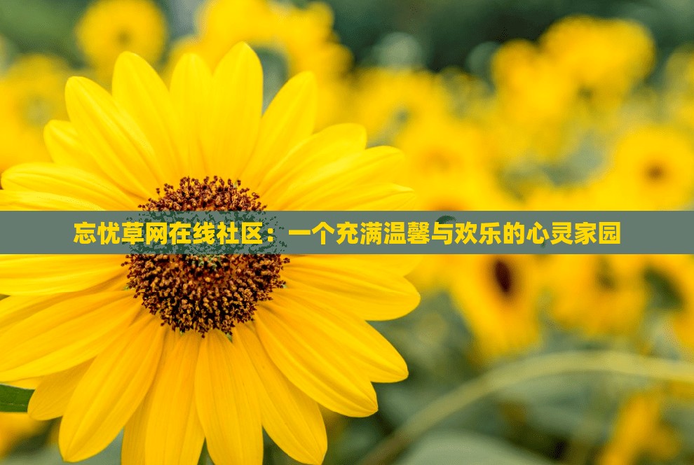 忘憂草網在線社區(qū)：一個充滿溫馨與歡樂的心靈家園