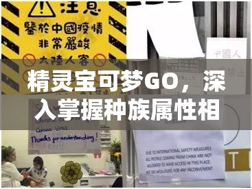 精靈寶可夢GO，深入掌握種族屬性相克，解鎖策略制勝的關(guān)鍵要素