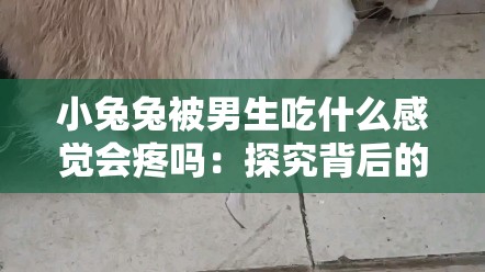 小兔兔被男生吃什么感覺會(huì)疼嗎：探究背后的真實(shí)感受