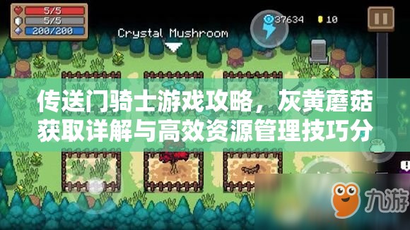 傳送門騎士游戲攻略，灰黃蘑菇獲取詳解與高效資源管理技巧分享