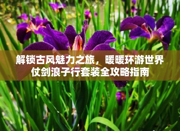 解鎖古風(fēng)魅力之旅，暖暖環(huán)游世界仗劍浪子行套裝全攻略指南