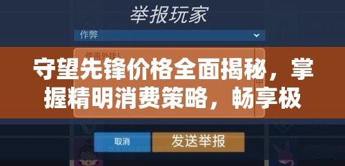 守望先鋒價(jià)格全面揭秘，掌握精明消費(fèi)策略，暢享極致游戲體驗(yàn)