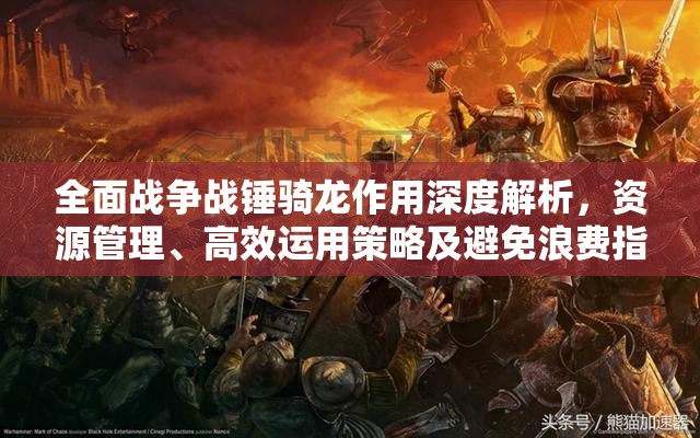 全面戰(zhàn)爭(zhēng)戰(zhàn)錘騎龍作用深度解析，資源管理、高效運(yùn)用策略及避免浪費(fèi)指南