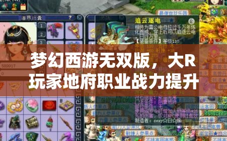 夢幻西游無雙版，大R玩家地府職業(yè)戰(zhàn)力提升與寶寶搭配策略，揭秘高效資源管理藝術(shù)