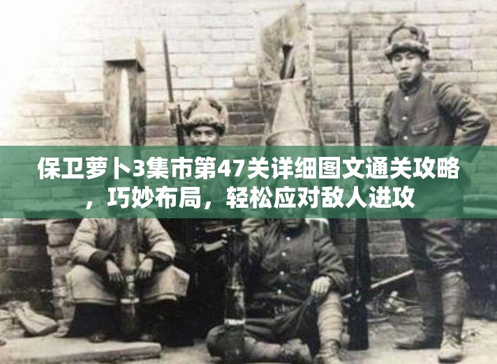 保衛(wèi)蘿卜3集市第47關(guān)詳細(xì)圖文通關(guān)攻略，巧妙布局，輕松應(yīng)對(duì)敵人進(jìn)攻