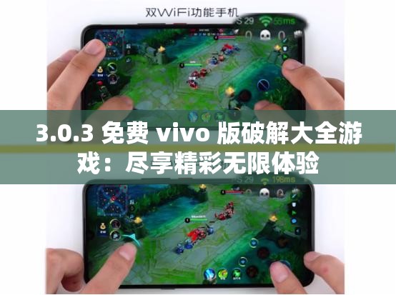 3.0.3 免費(fèi) vivo 版破解大全游戲：盡享精彩無限體驗(yàn)