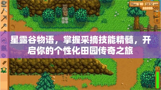 星露谷物語，掌握采摘技能精髓，開啟你的個(gè)性化田園傳奇之旅