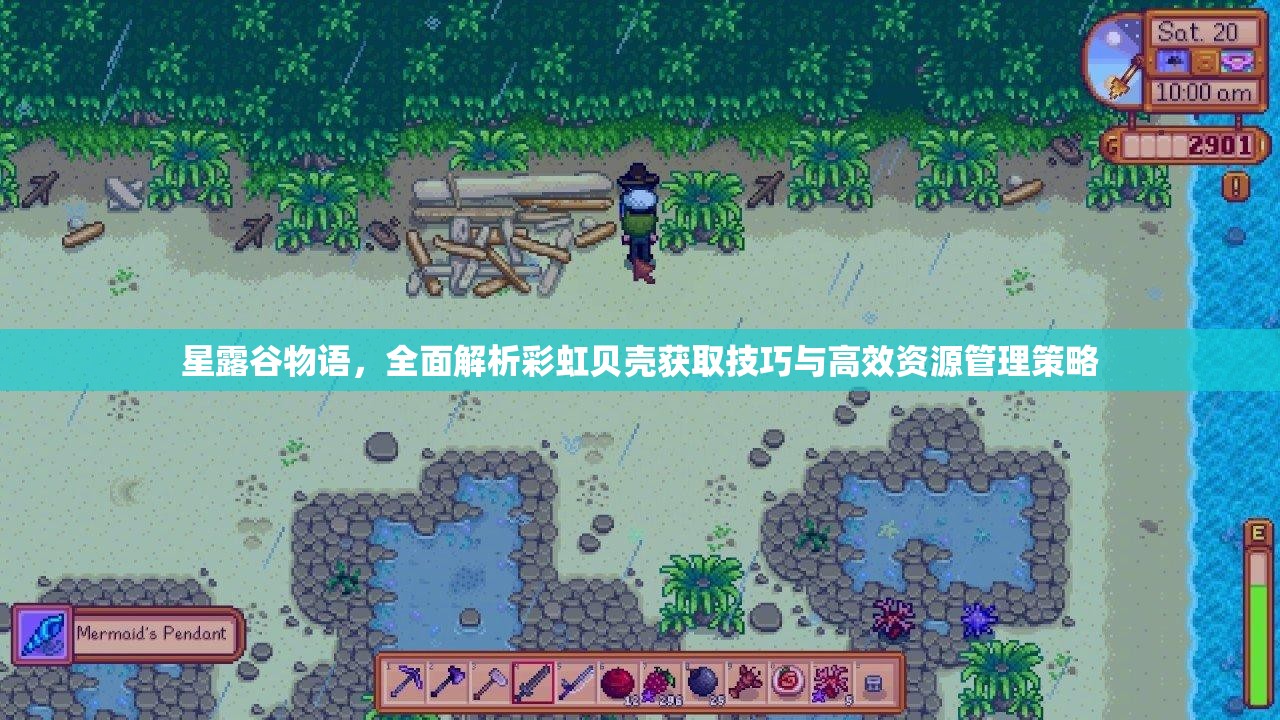 星露谷物語(yǔ)，全面解析彩虹貝殼獲取技巧與高效資源管理策略