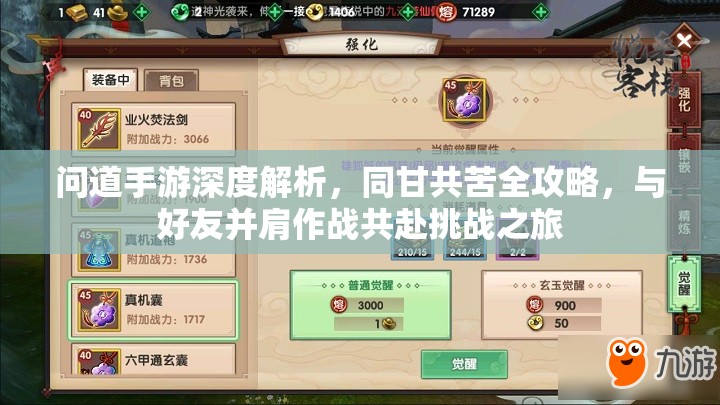 問(wèn)道手游深度解析，同甘共苦全攻略，與好友并肩作戰(zhàn)共赴挑戰(zhàn)之旅