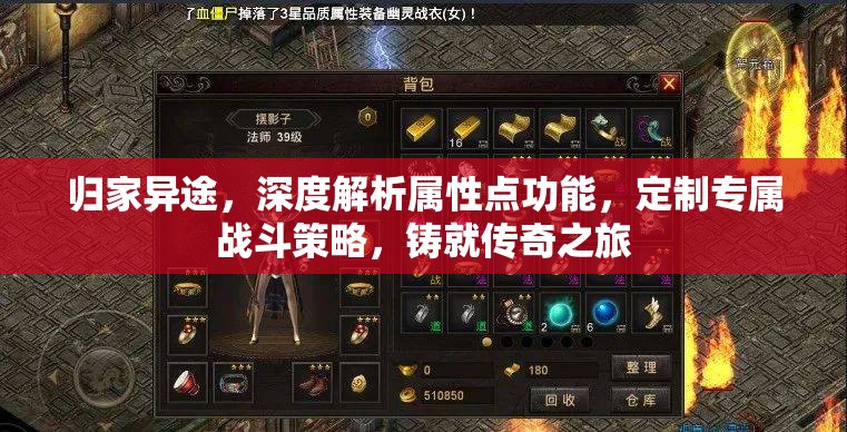 歸家異途，深度解析屬性點(diǎn)功能，定制專屬戰(zhàn)斗策略，鑄就傳奇之旅