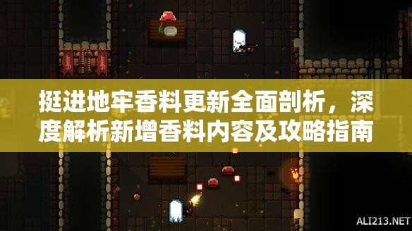 挺進(jìn)地牢香料更新全面剖析，深度解析新增香料內(nèi)容及攻略指南