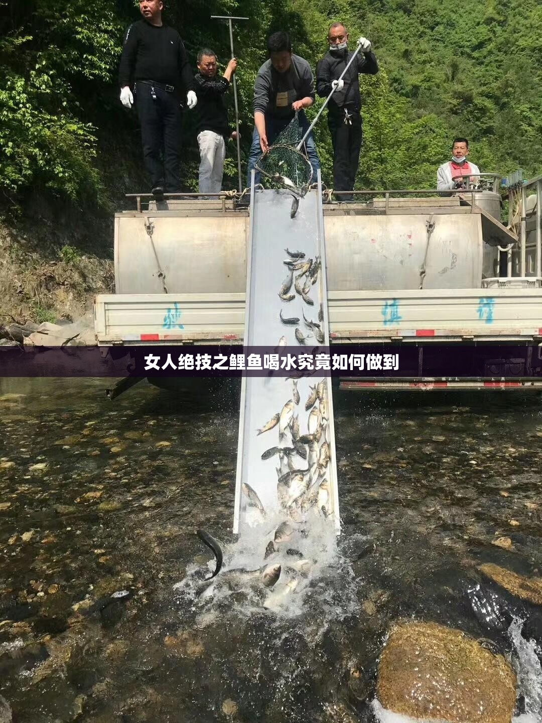 女人絕技之鯉魚(yú)喝水究竟如何做到