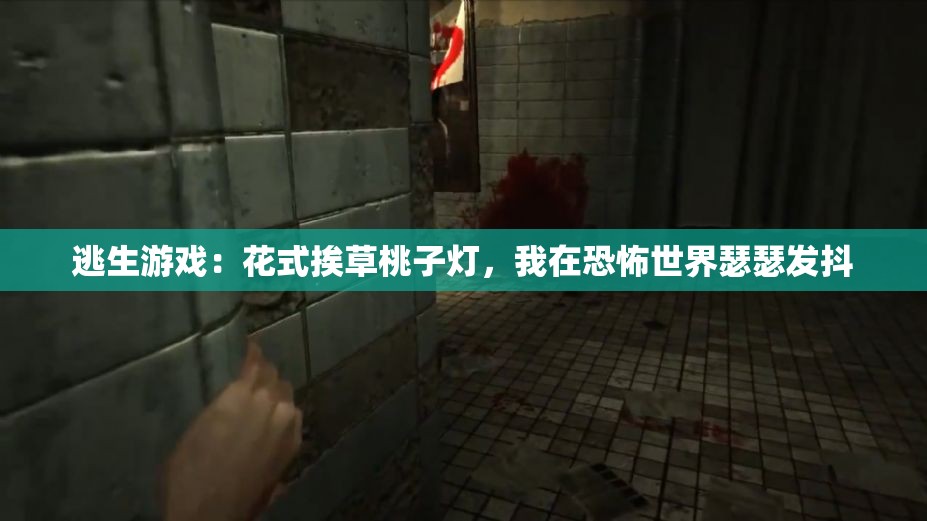逃生游戲：花式挨草桃子燈，我在恐怖世界瑟瑟發(fā)抖