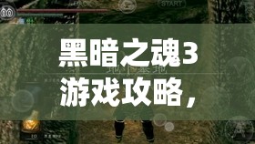 黑暗之魂3游戲攻略，全面揭秘寶石結(jié)晶蟲所有隱藏位置