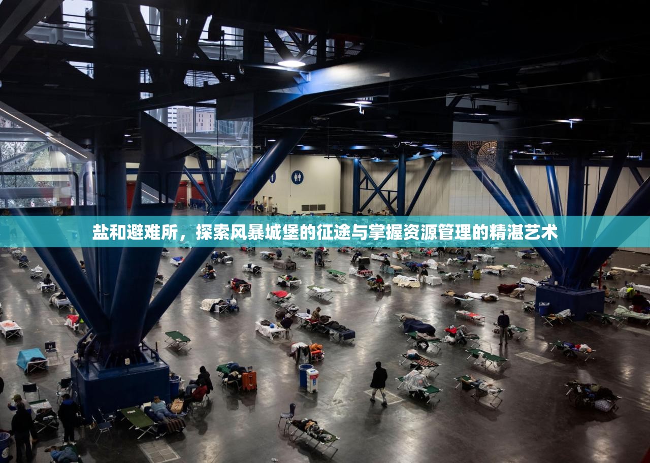鹽和避難所，探索風(fēng)暴城堡的征途與掌握資源管理的精湛藝術(shù)