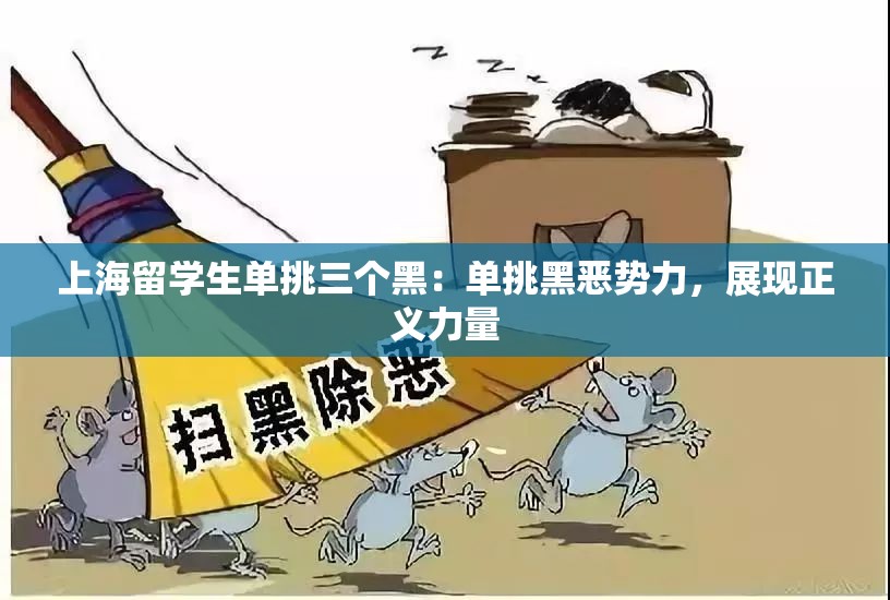 上海留學(xué)生單挑三個黑：單挑黑惡勢力，展現(xiàn)正義力量