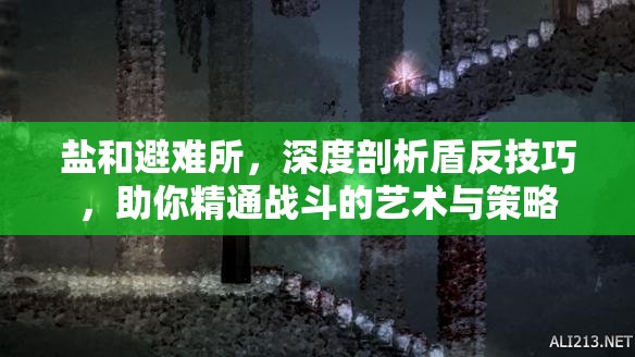 鹽和避難所，深度剖析盾反技巧，助你精通戰(zhàn)斗的藝術(shù)與策略