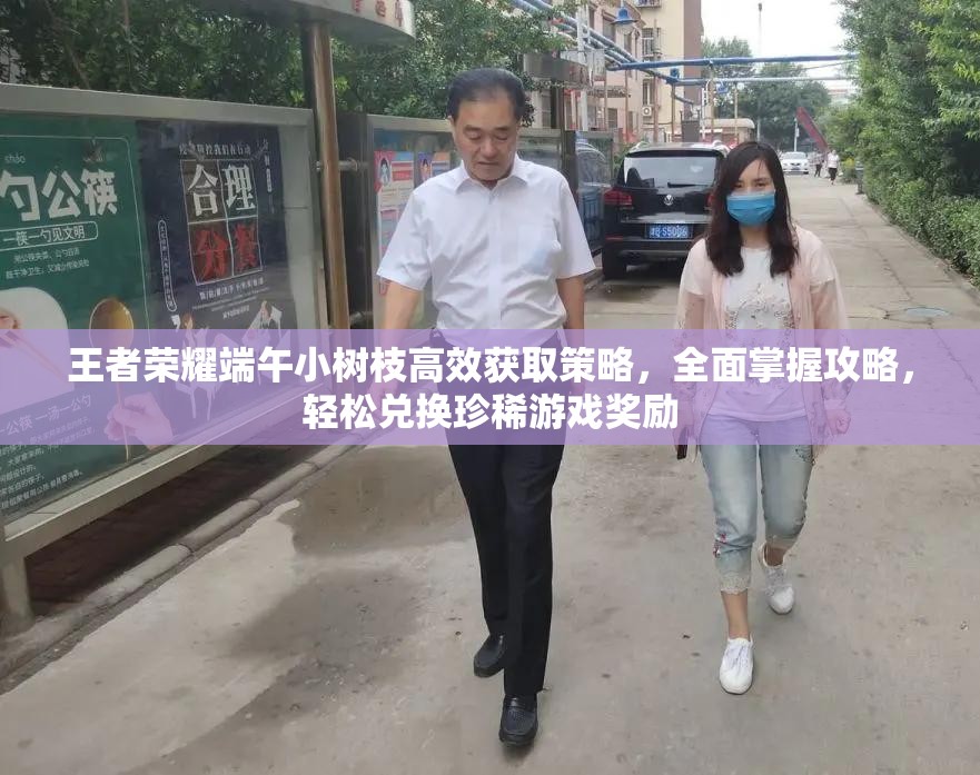 王者榮耀端午小樹(shù)枝高效獲取策略，全面掌握攻略，輕松兌換珍稀游戲獎(jiǎng)勵(lì)