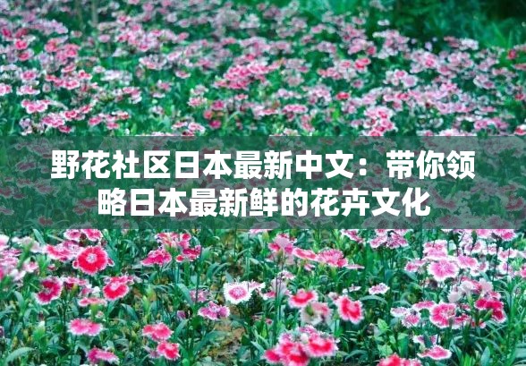 野花社區(qū)日本最新中文：帶你領(lǐng)略日本最新鮮的花卉文化