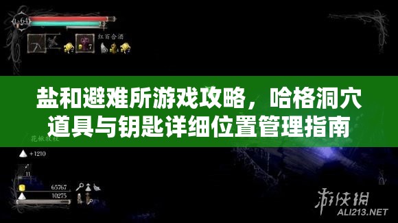 鹽和避難所游戲攻略，哈格洞穴道具與鑰匙詳細(xì)位置管理指南