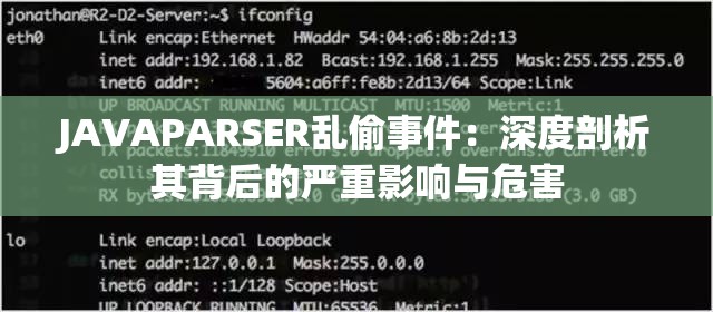 JAVAPARSER亂偷事件：深度剖析其背后的嚴(yán)重影響與危害
