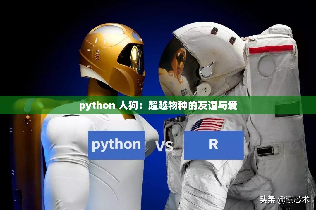 python 人狗：超越物種的友誼與愛