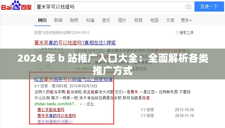 2024 年 b 站推廣入口大全：全面解析各類推廣方式