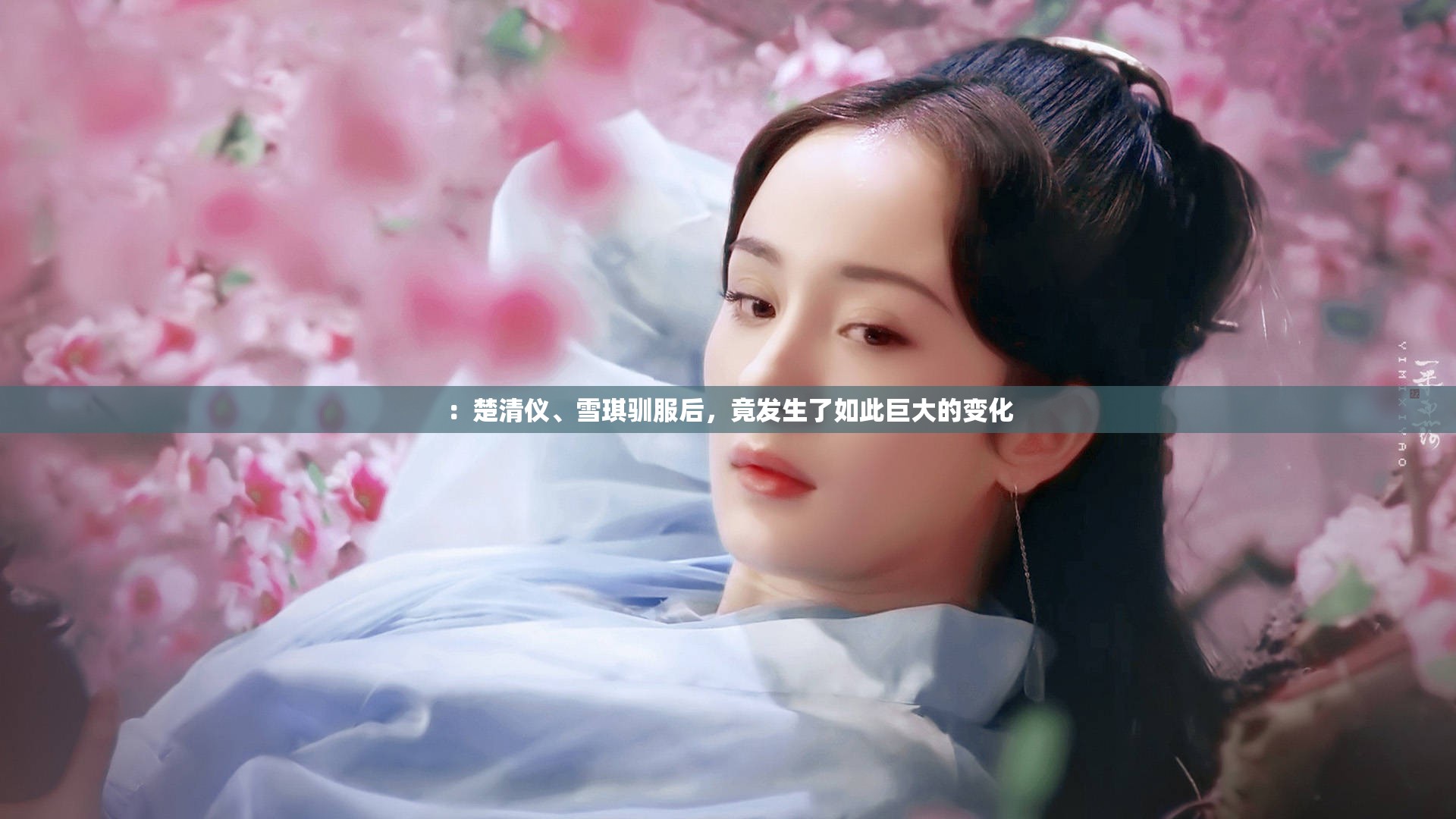 ：楚清儀、雪琪馴服后，竟發(fā)生了如此巨大的變化