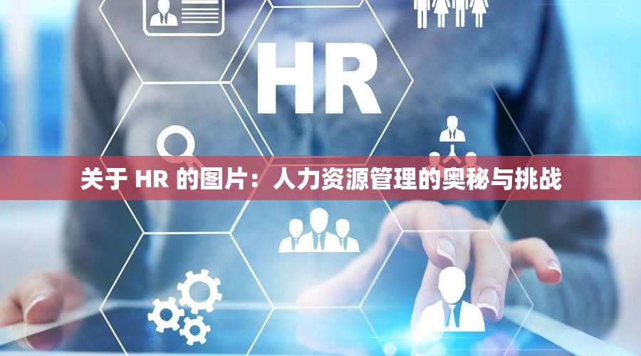 關(guān)于 HR 的圖片：人力資源管理的奧秘與挑戰(zhàn)