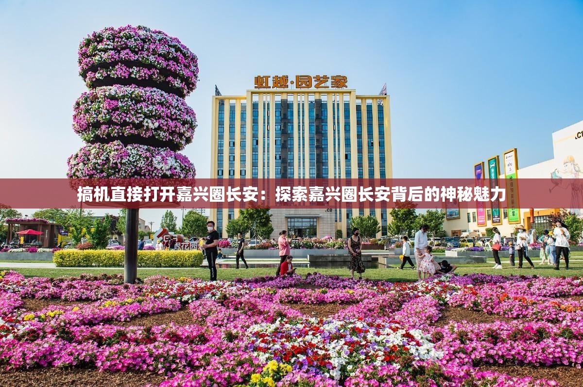 搞機(jī)直接打開(kāi)嘉興圈長(zhǎng)安：探索嘉興圈長(zhǎng)安背后的神秘魅力