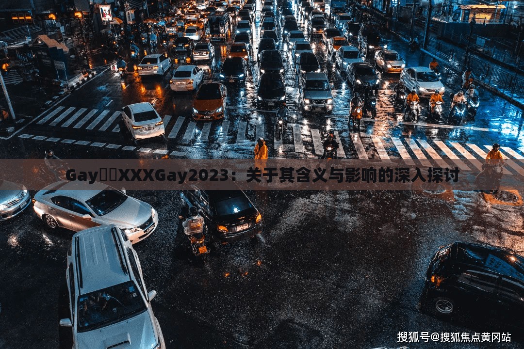 Gay鈥哫XXXGay2023：關(guān)于其含義與影響的深入探討