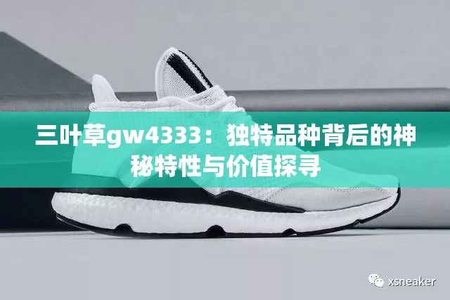 三葉草gw4333：獨(dú)特品種背后的神秘特性與價(jià)值探尋