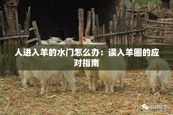 人進(jìn)入羊的水門怎么辦：誤入羊圈的應(yīng)對指南
