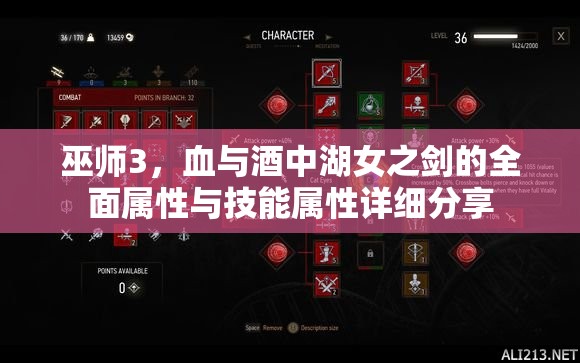 巫師3，血與酒中湖女之劍的全面屬性與技能屬性詳細(xì)分享