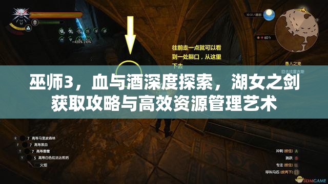巫師3，血與酒深度探索，湖女之劍獲取攻略與高效資源管理藝術(shù)