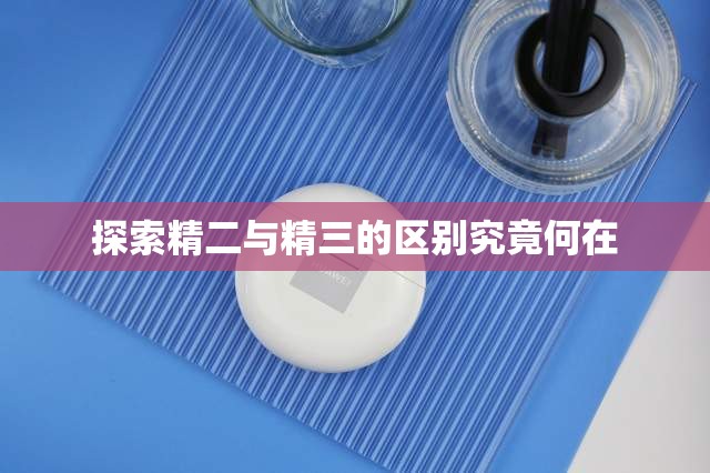 探索精二與精三的區(qū)別究竟何在
