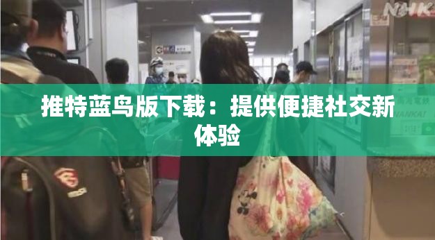 推特藍(lán)鳥版下載：提供便捷社交新體驗(yàn)