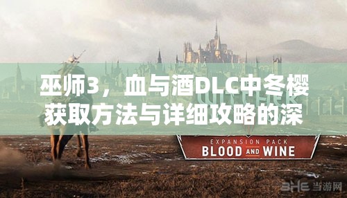 巫師3，血與酒DLC中冬櫻獲取方法與詳細(xì)攻略的深度探討