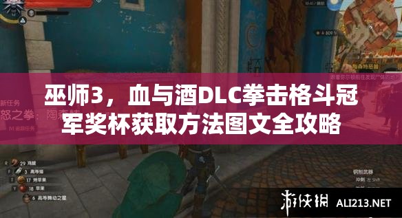 巫師3，血與酒DLC拳擊格斗冠軍獎(jiǎng)杯獲取方法圖文全攻略