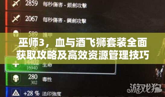 巫師3，血與酒飛獅套裝全面獲取攻略及高效資源管理技巧
