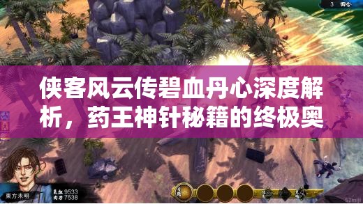 俠客風(fēng)云傳碧血丹心深度解析，藥王神針秘籍的終極奧秘與技巧大公開