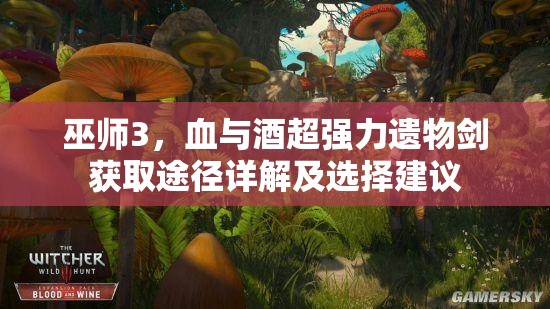 巫師3，血與酒超強(qiáng)力遺物劍獲取途徑詳解及選擇建議
