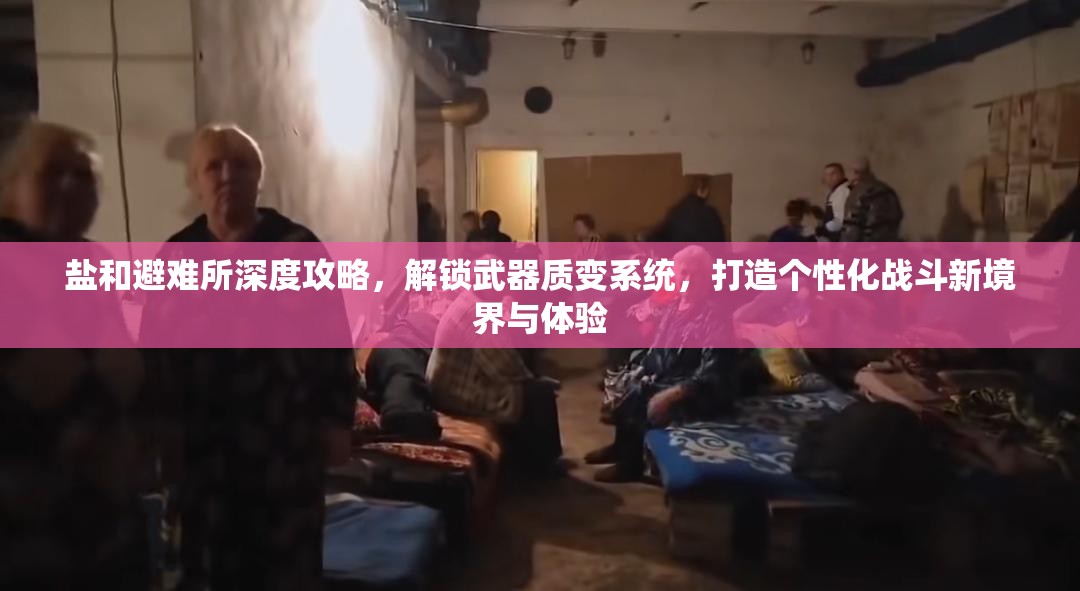 鹽和避難所深度攻略，解鎖武器質(zhì)變系統(tǒng)，打造個性化戰(zhàn)斗新境界與體驗