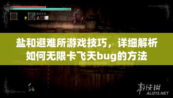 鹽和避難所游戲技巧，詳細解析如何無限卡飛天bug的方法